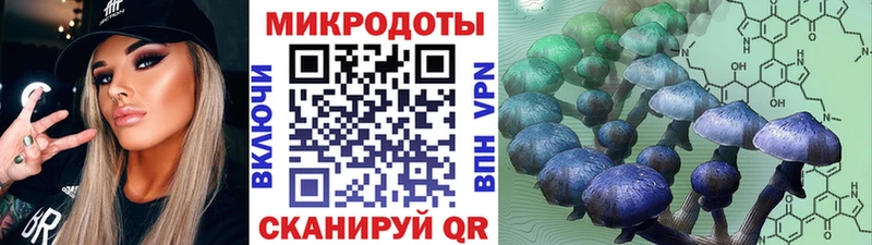 Галлюциногенные грибы Psilocybine cubensis  Купить закладки  Чайковский 